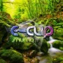 E-CLIP