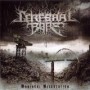 CEREBRAL BORE