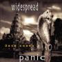 WIDESPREAD PANIC