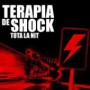 TERAPIA DE SHOCK