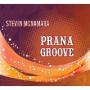 McNAMARA STEVIN