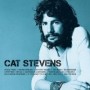 STEVENS CAT