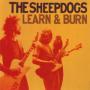 SHEEPDOGS