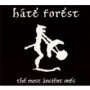 HATE FOREST