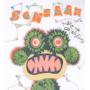 SCHNAAK