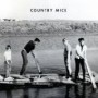 COUNTRY MICE