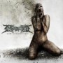 INGESTED INGESTED