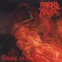 MORBID ANGEL MORBID ANGEL