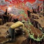 DYSENTERY