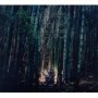 DIR EN GREY
