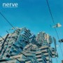 NERVE NERVE