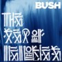 BUSH
