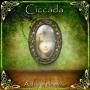 CICCADA