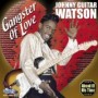 WATSON JOHNNY -GUITAR-