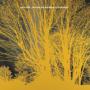 NADA SURF NADA SURF