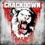 CRACKDOWN