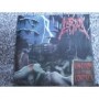 LUST OF DECAY