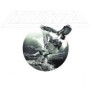 LIONIZE
