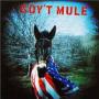 GOVT MULE GOVT MULE