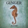 GINGER GINGER