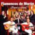 FLAMENCOS DE MORON