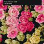 LANEGAN MARK LANEGAN MARK