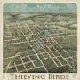 THIEVING BIRDS