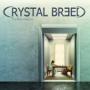 CRYSTAL BREED