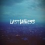 LAST WITNESS LAST WITNESS
