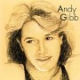 GIBB ANDY GIBB ANDY