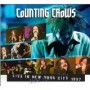 COUNTING CROWS