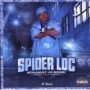 SPIDER LOC SPIDER LOC