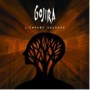 GOJIRA GOJIRA