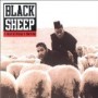 BLACK SHEEP BLACK SHEEP