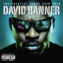 BANNER DAVID BANNER DAVID