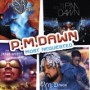 PM DAWN