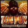 BIG PUN BIG PUN