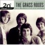 GRASS ROOTS