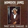 HOMESICK JAMES