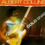 COLLINS ALBERT COLLINS ALBERT