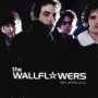WALLFLOWERS