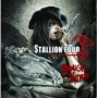 STALLION FOUR