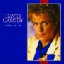 CASSIDY DAVID