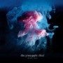 PINEAPPLE THIEF PINEAPPLE THIEF