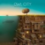 OWL CITY