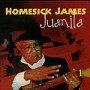 HOMESICK JAMES