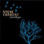 FORBERT STEVE FORBERT STEVE