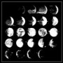 CONVERGE