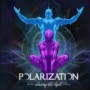 POLARIZATION POLARIZATION