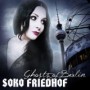 SOKO FRIEDHOF